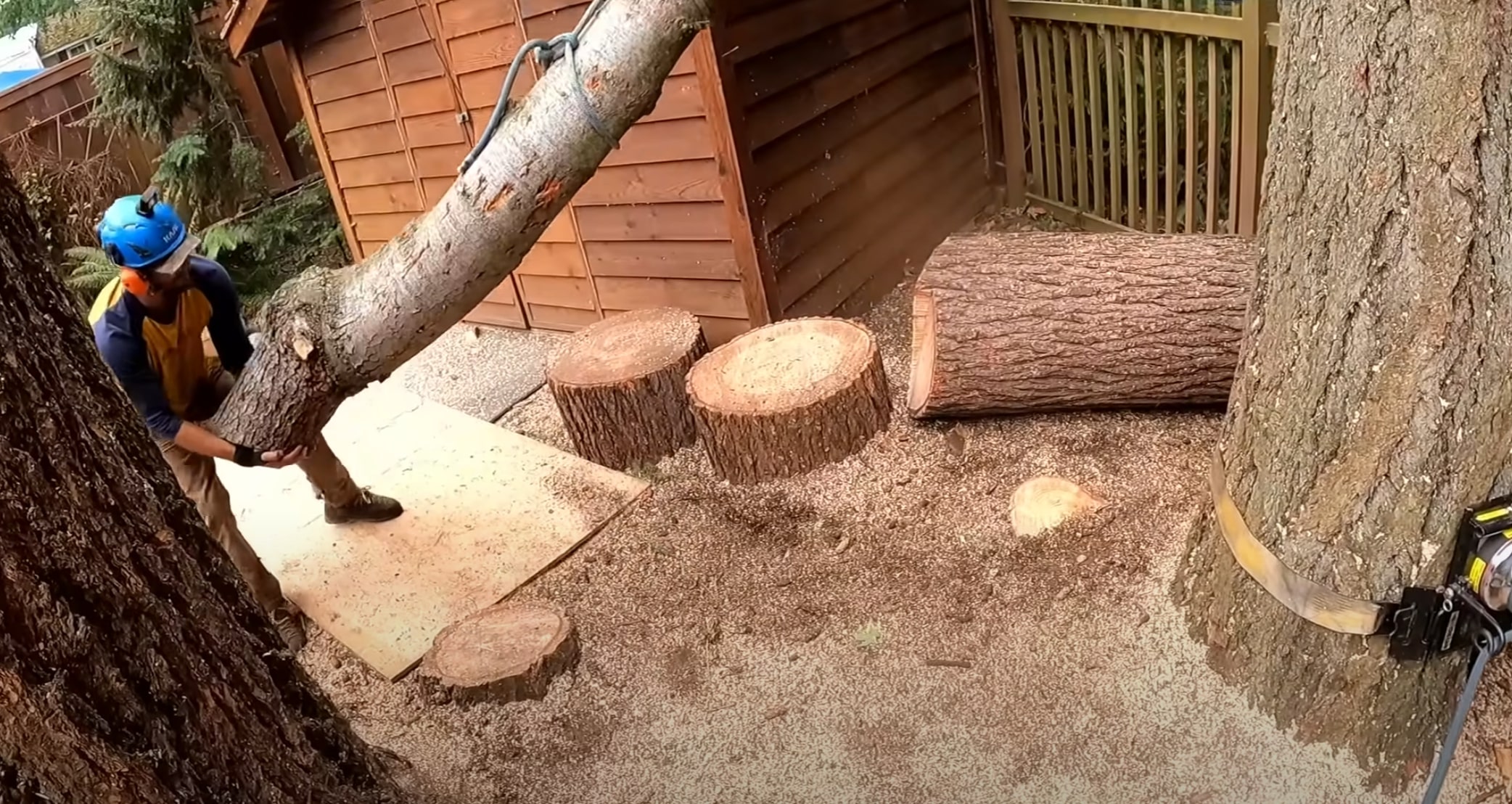 Shrub and hedge trimming services in Mission Viejo, CA