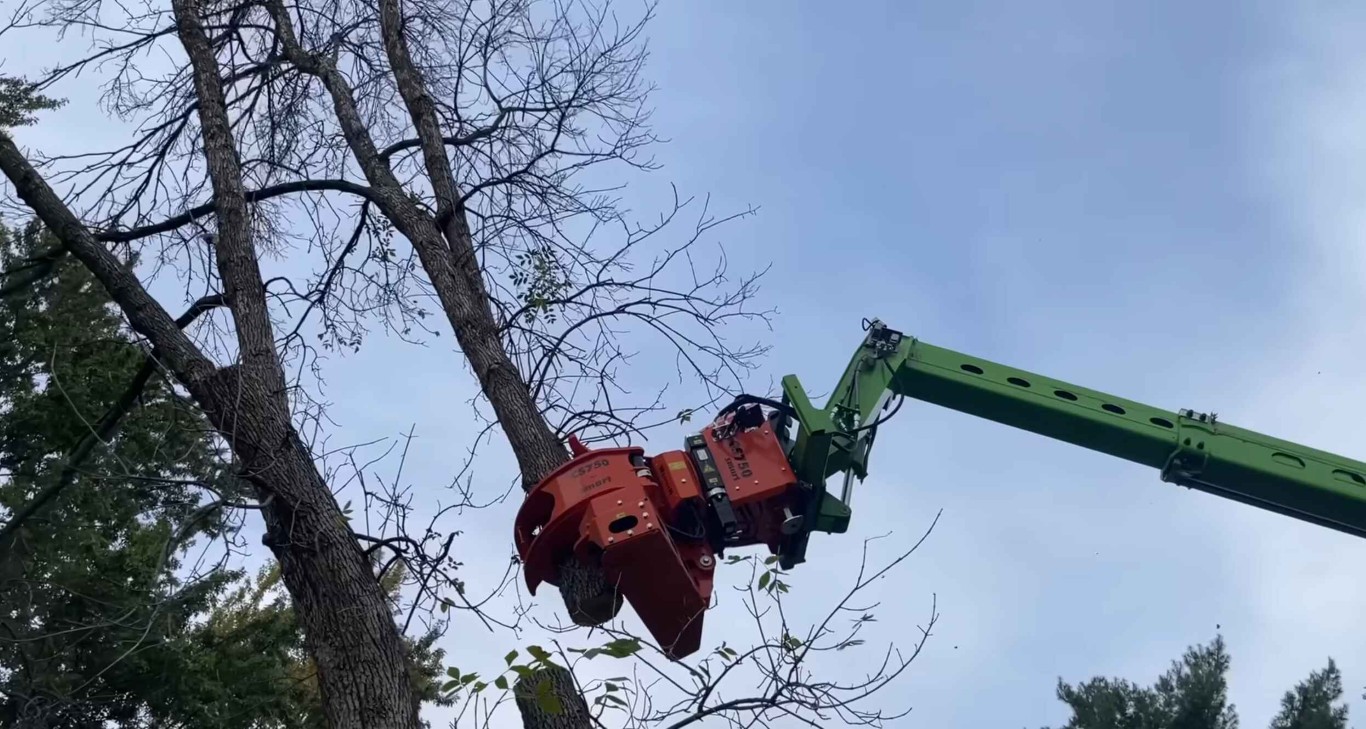 Professional crane-assisted tree removal in Mission Viejo, CA